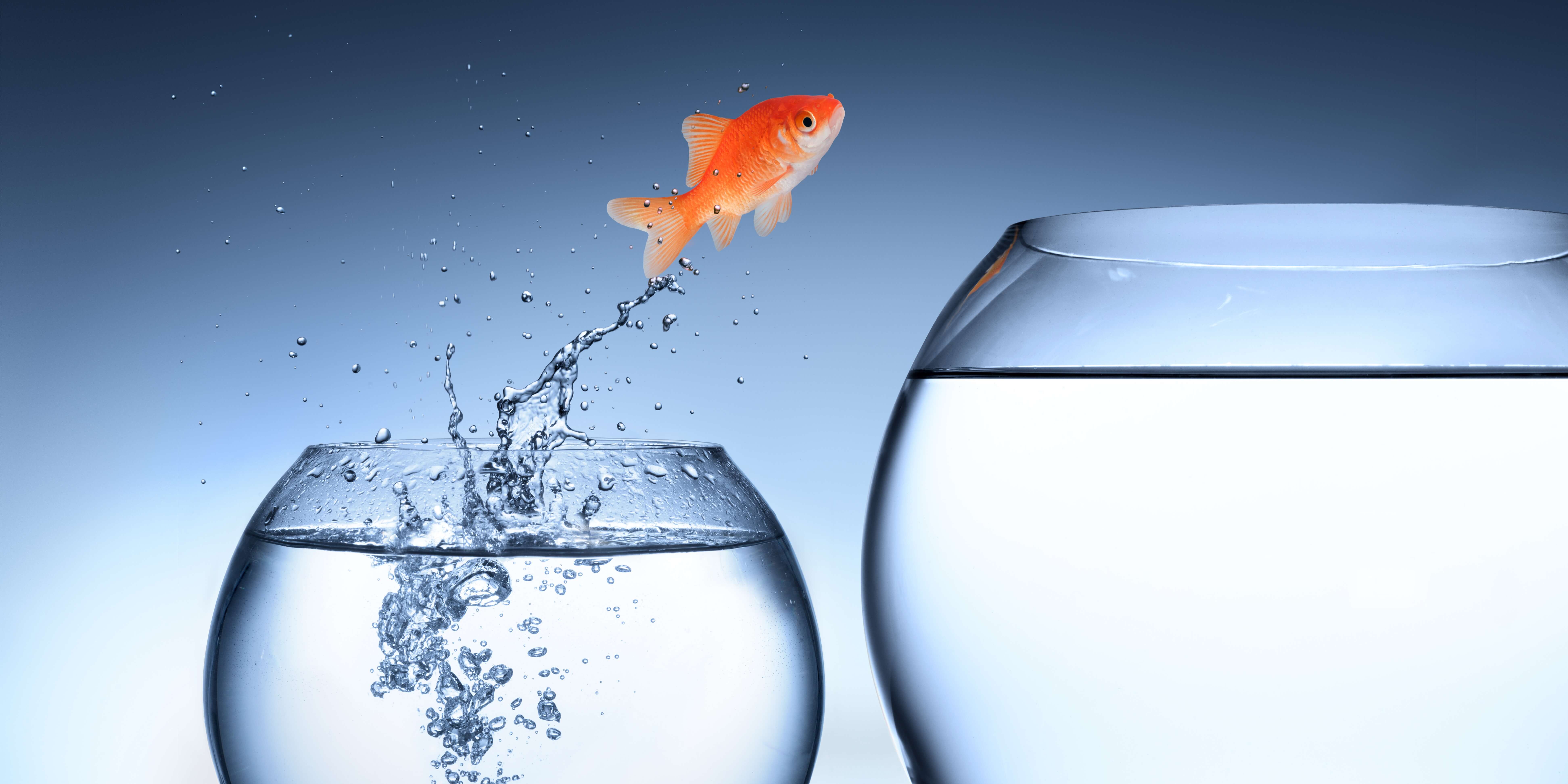 Changing The Sales System: Is It Worth It?