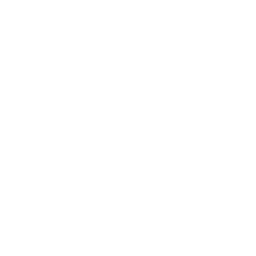 linkedin icon
